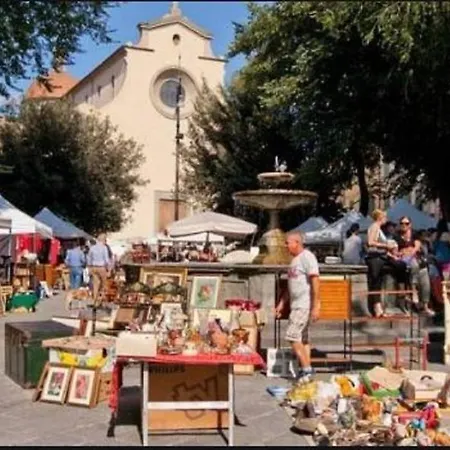 Dandelion Flat Floransa
