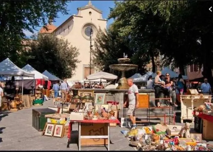 Dandelion Flat Florence